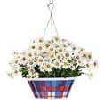 thumbnail image 3 of Member's Mark 14'' Americana Hanging Flower Pot with Stainless Steel Chain, 3 of 3