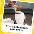 thumbnail image 6 of Temptations Classics Mixups Chicken, Catnip, and Seafood Adult Cat Treats, 16 oz., 3 tubs, 6 of 14