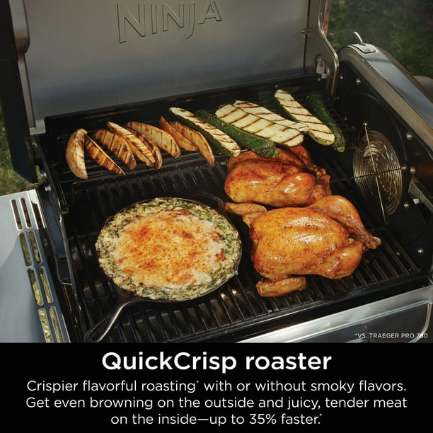Ninja FlexFlame 5-in-1 Propane Grill & Smoker Outdoor Cooking
