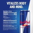 thumbnail image 4 of Red Bull Energy, 16 fl. oz., 12 pk., 4 of 11