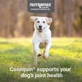 thumbnail image 3 of Nutramax Cosequin Joint Health Supplement for Dogs with Glucosamine, Chondroitin, MSM, Omega-3's and HA, 150 Soft Chews, 3 of 9