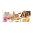 thumbnail image 3 of Shape Pet, Board Book, 3 of 4