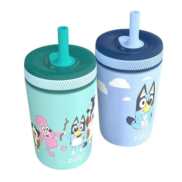 Zak Designs 12-oz. Stainless Steel Double-Wall Tumbler for Kids with Straw,  2-Piece Set - Samsclub.com