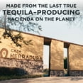 thumbnail image 4 of Herradura Silver Tequila 750 ml, 4 of 9