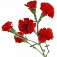 thumbnail image 2 of Member's Mark Mini Carnations, Choose color and stem count, 2 of 5