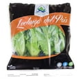 thumbnail image 1 of Lechuga Del Pais 24 oz., 1 of 2