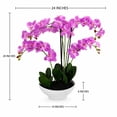 thumbnail image 5 of Artificial 20" Orchid in White Ceramic Planter, Assorted Colors, 5 of 5