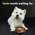thumbnail image 8 of Cesar Classic Loaf in Sauce Wet Dog Food Variety Pack, 3.5 oz., 48 ct., 8 of 9