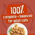 thumbnail image 6 of Purina Friskies Gravy Pleasers Variety Pack, Adult Wet Cat Food, 5.5 oz., 60 ct., 6 of 10