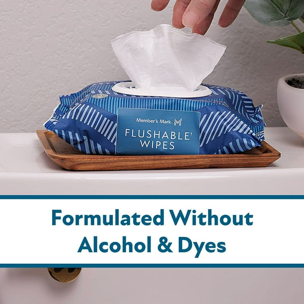 Member's Mark Flushable Wipes, Fresh Scent, 540
