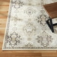 thumbnail image 1 of Town & Country Everyday Avani Everwash Area Rug, Assorted Sizes and Colors, 1 of 12