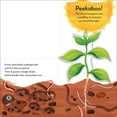 thumbnail image 3 of Pop-Up Peekaboo! Tree, Board Book, 3 of 4