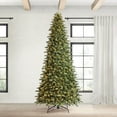 thumbnail image 1 of Member's Mark 12' Augusta Pine Pre-Lit Christmas Tree, 1 of 9