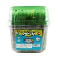 thumbnail image 1 of SOUR PUNCH Assorted Chewy Candy Twists, 180 pcs., 1 of 9
