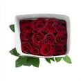 thumbnail image 7 of Member's Mark Ecuadorian Premium Roses, choose color variety and stem count, 7 of 9