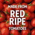 thumbnail image 3 of Heinz Classic Pack Condiments, 3 pk., 3 of 17