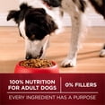 thumbnail image 8 of Purina ONE SmartBlend True Instinct Real Turkey & Venison, Adult Dry Dog Food, 40 lbs., 8 of 11