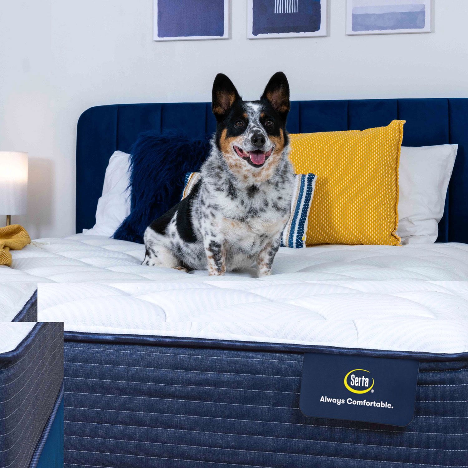 Serta Enchanting Rest Plush Mattress - Samsclub.com