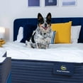 thumbnail image 11 of Serta Enchanting Rest Plush Mattress, 11 of 11