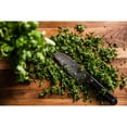 thumbnail image 3 of Premium Cilantro, 8 oz., 3 of 4