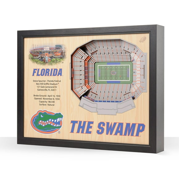 YouTheFan Florida Gators 25-Layer Football Stadium View 3D Wall Art