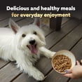 thumbnail image 6 of Cesar Filets in Gravy Wet Dog Food Steak and Poultry Variety Pack, 3.5 oz., 48 ct., 6 of 9