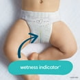 thumbnail image 4 of Pampers Pure Protection Diapers, Sizes 1-6, 4 of 9