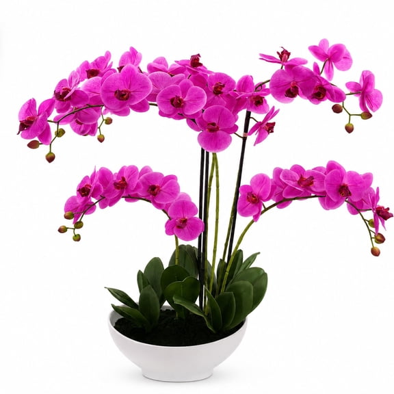 Artificial 20" Orchid in White Ceramic Planter, Assorted Colors