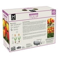 thumbnail image 2 of Member's Mark Tulip Spring Blend Dormant Bulbs, 45pk, 2 of 9