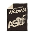 thumbnail image 1 of Logo Brands Alabama State Hornets Luxe Dreams Throw, 60" x 80", 1 of 6