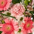 thumbnail image 2 of Member's Mark Mixed Farm Bouquets, 10 pk., choose variety, 2 of 3