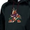 thumbnail image 5 of Champion NHL Men's Hooded Sweatshirt, 5 of 6