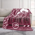 thumbnail image 2 of Logo Brands Southern Illinois Salukis 60"x70" Super Plush Blanket, 2 of 7