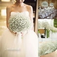 thumbnail image 2 of Member's Mark Enhanced Gypsophila, choose color and stem count, 2 of 2