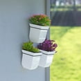 thumbnail image 5 of Mayne Valencia 8" Wall Mount Planter, Set of 3, 5 of 10
