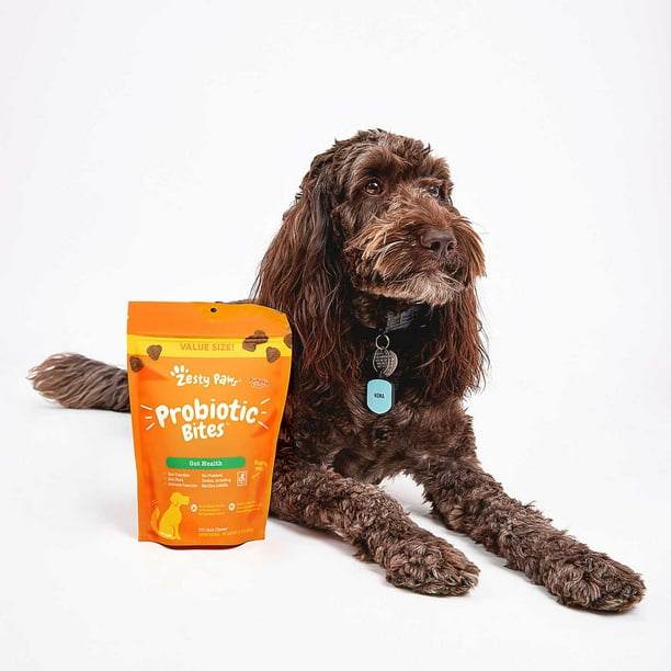 Zesty Paws Probiotic Bites, Pumpkin Flavored, 170
