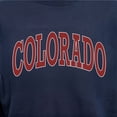 thumbnail image 6 of State of Mine Varsity Arch State Fleece Sweatshirt, 6 of 7