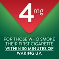 thumbnail image 5 of Member's Mark Nicotine Uncoated Gum, Original Flavor, 190 ct., 2 pk., 5 of 8