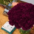 thumbnail image 5 of Member's Mark Carnations, choose color and stem count, 5 of 5