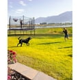 thumbnail image 15 of Skywalker Trampolines 14' Heavy Duty Trampoline with Basketball Hoop, 15 of 16