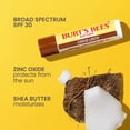 thumbnail image 6 of Burt's Bees Garden Party Moisturizing Lip Balm Value Pack, 10 Tubes, 0.15 oz. ea., 6 of 11