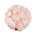 thumbnail image 1 of Member's Mark Color Enhanced Hydrangeas, 20 stems, choose color, 1 of 6
