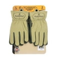thumbnail image 1 of Plainsman Torque Premium Cabretta Leather Gloves - 2 Pack, 1 of 5