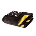 thumbnail image 4 of Logo Brands Arkansas-Pine Bluff Golden Lions 60"x70" Super Plush Blanket, 4 of 7