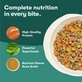 thumbnail image 5 of Jinx Homeamdes Variety Pack, Wet Dog Food Pack , 9 oz., 12 ct., 5 of 12
