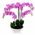 thumbnail image 1 of Artificial 20" Orchid in White Ceramic Planter, Assorted Colors, 1 of 5