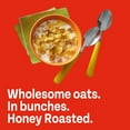thumbnail image 7 of Honey Bunches of Oats Honey Roasted Cereal, 48 oz., 7 of 10