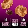 thumbnail image 8 of Raisin Bran Protein Breakfast Cereal, 41.2 oz., 8 of 9