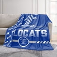 thumbnail image 2 of Logo Brands Eagan High School 60"x70" Super Plush Blanket, 2 of 7