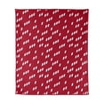 thumbnail image 3 of Logo Brands Iowa State Cyclones 60"x70" Super Plush Blanket, 3 of 7